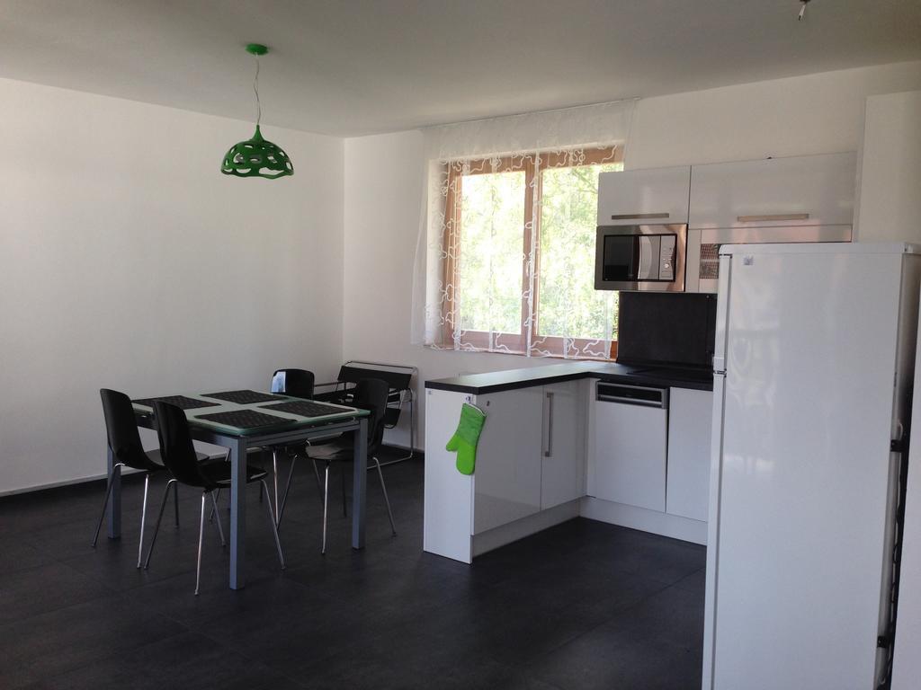 Apartman Martin リプノ・ナト・ヴルタヴォウ 部屋 写真